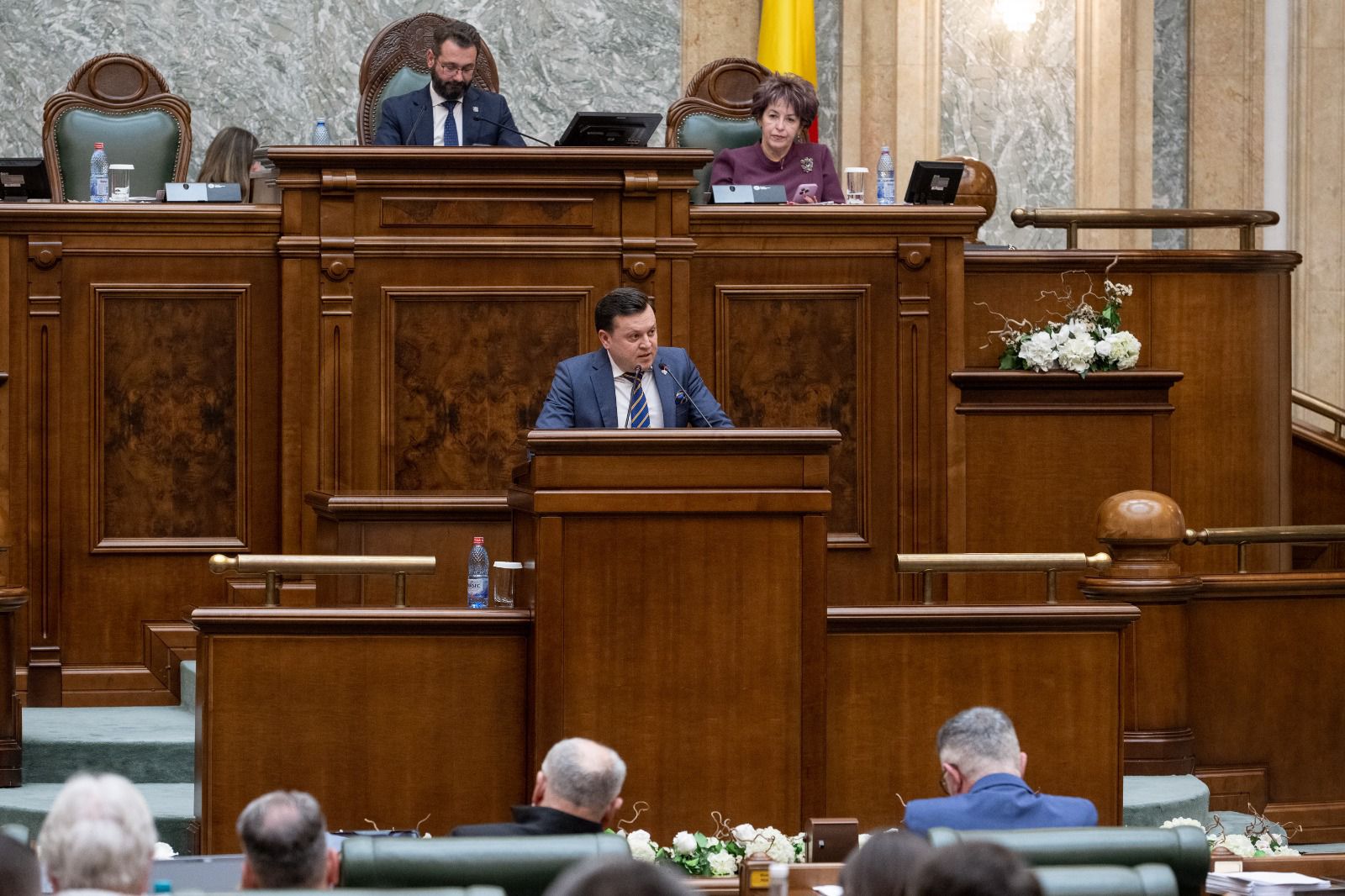 Catalin Silegeanu, despre garzile medicilor