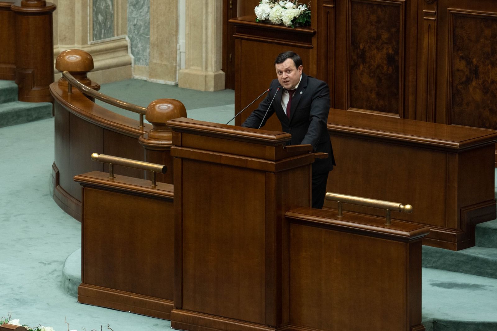 catalin silegeanu