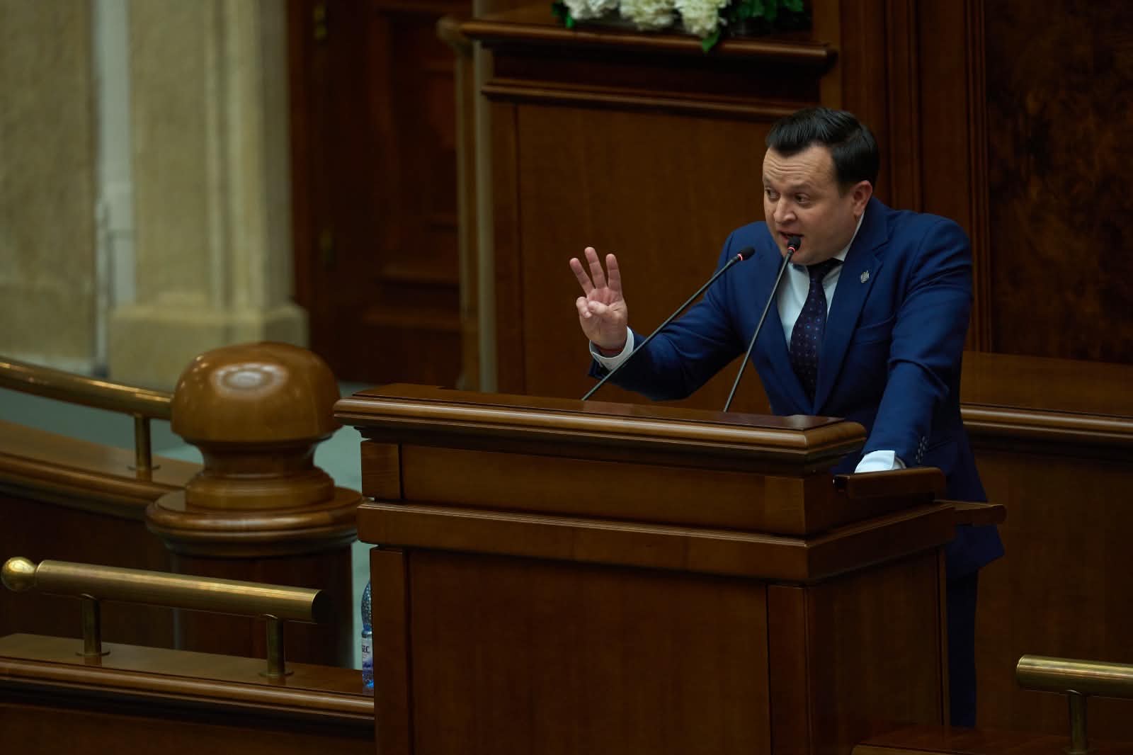catalin silegeanu