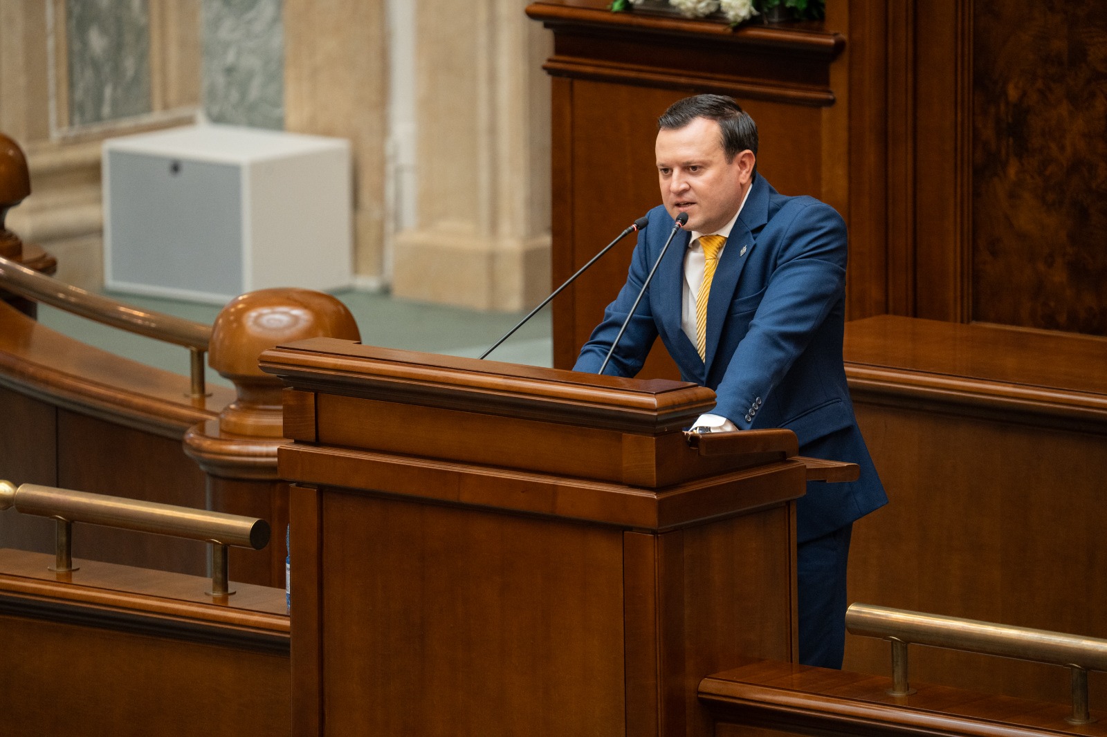 Silegeanu, despre salariile din companiile de stat