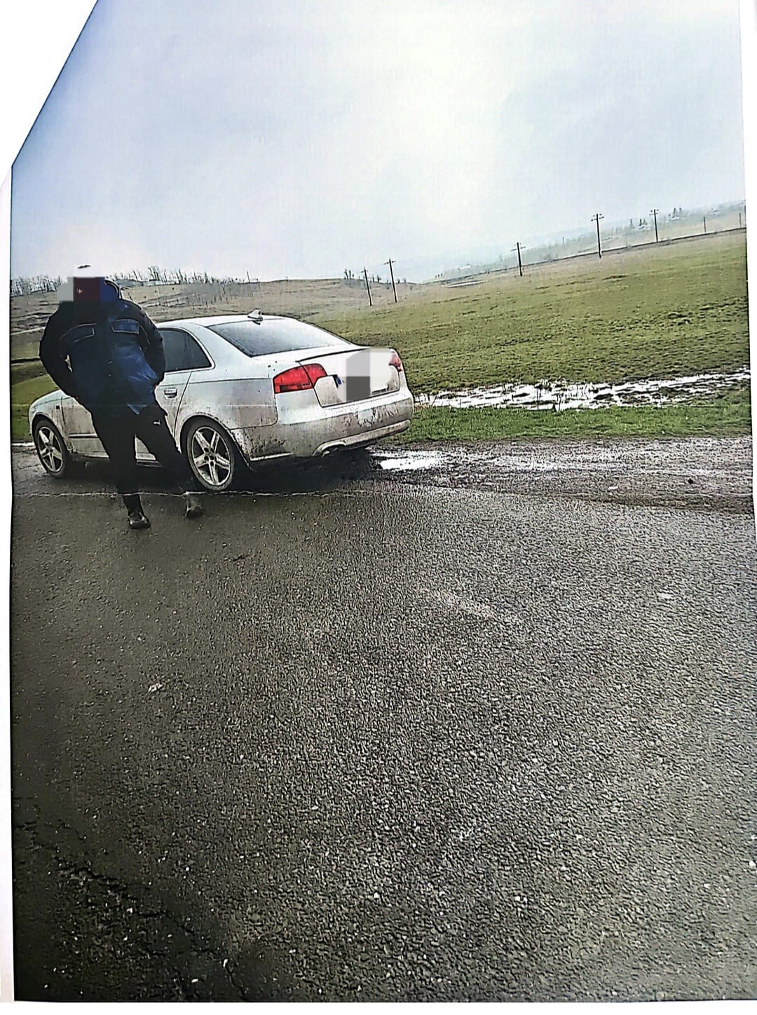 catel abandonat pe marginea drumului