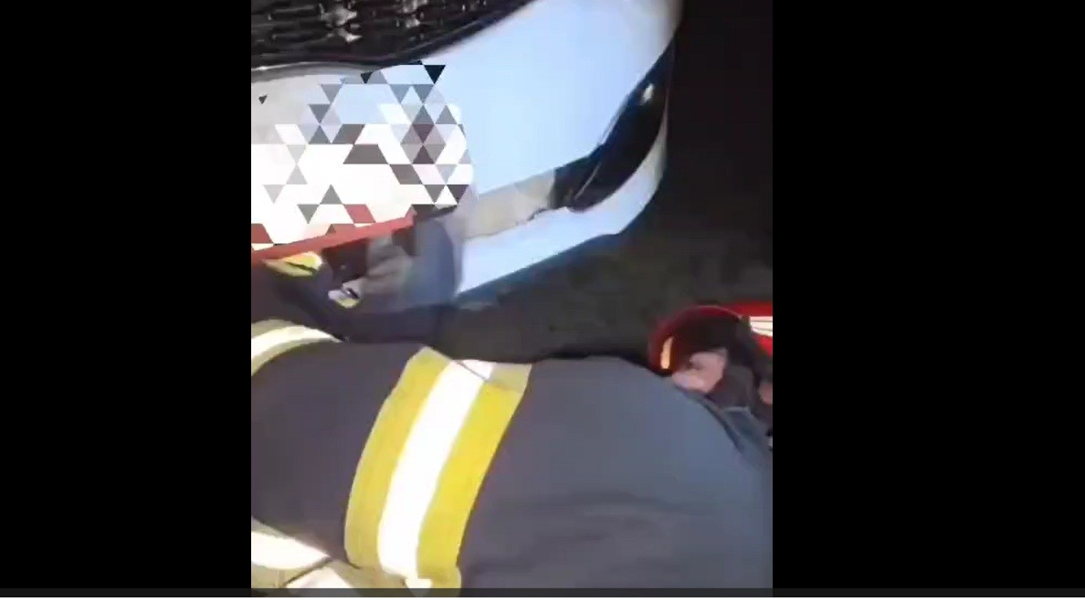 Misiune neobișnuită a pompierilor cu un câine lovit de o mașină – VIDEO