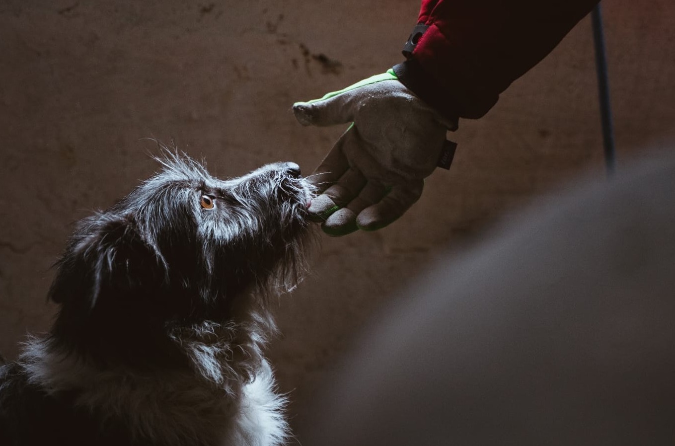 Weekend plin în București: De la box feminin la teatru, la campionatul național de kendama și concerte live