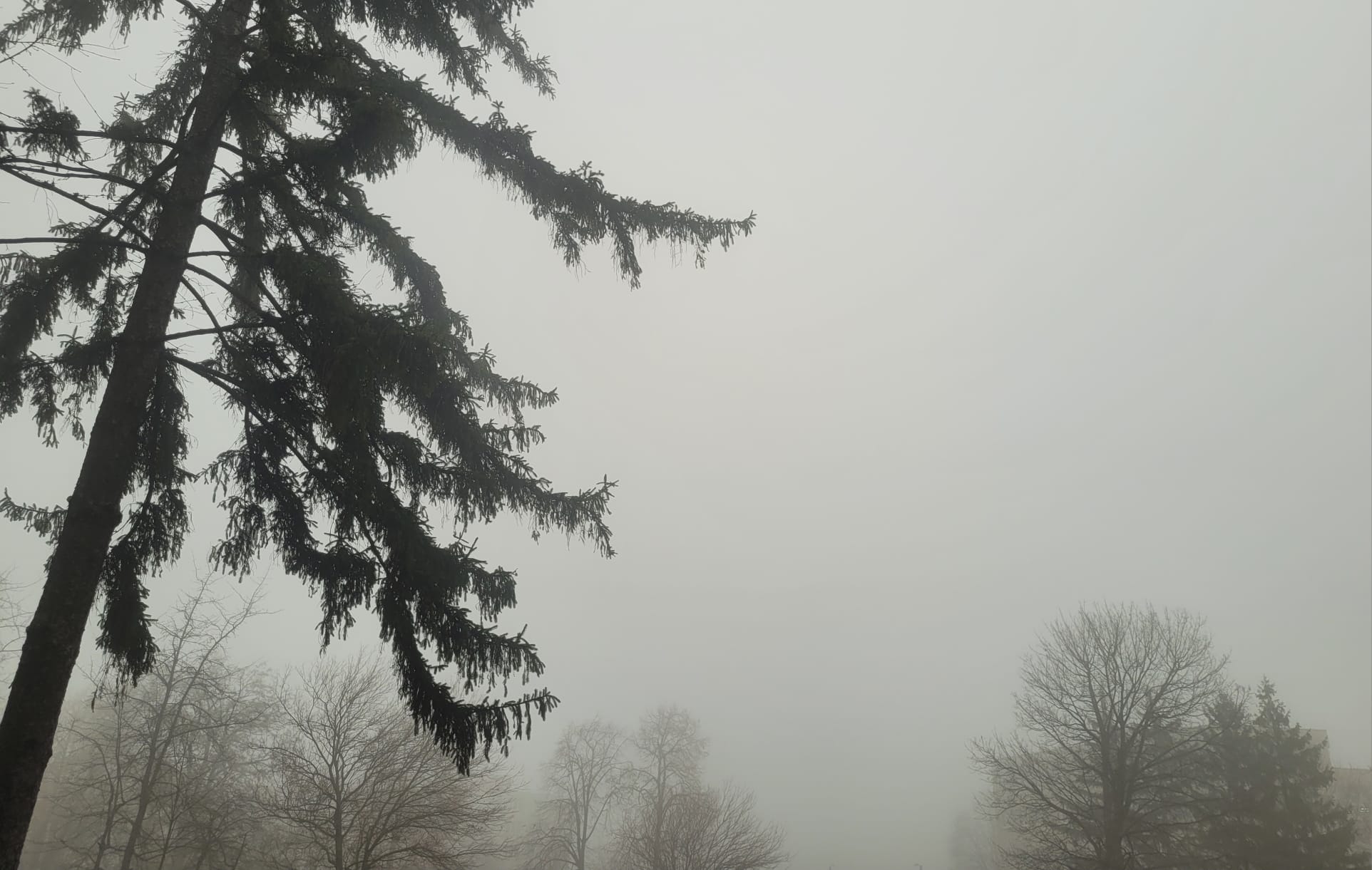 COD GALBEN de ceață anunțat pentru mai multe localități din județ