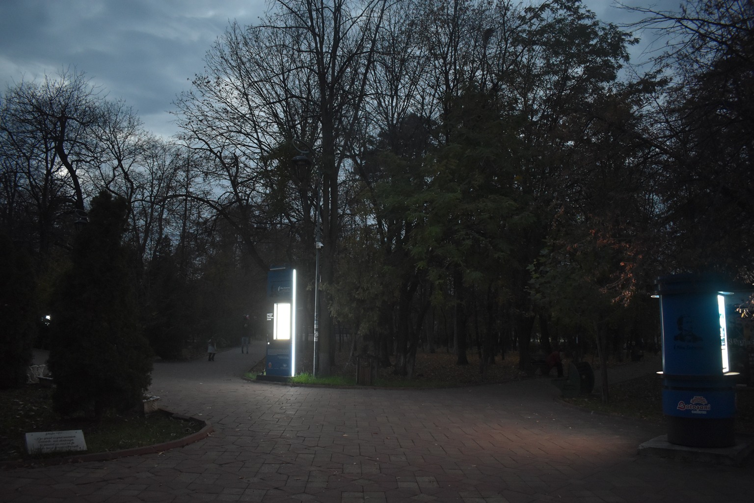 Cod Galben de ceață: vizibilitate redusă chiar și sub 50 de metri 