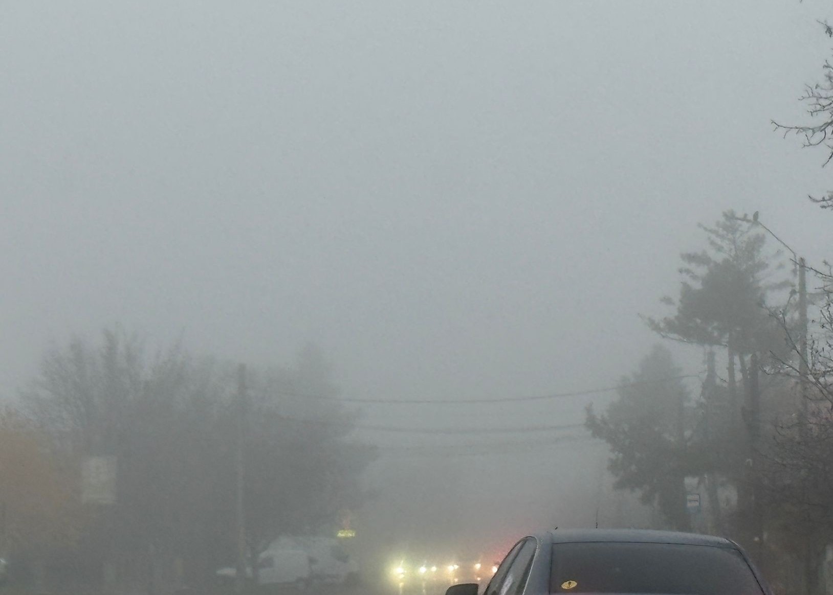 Cod Galben de ceață pe drumurile din județul Botoșani 