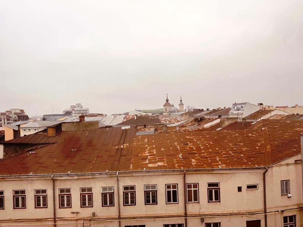 Poza zilei 13 februarie 2025