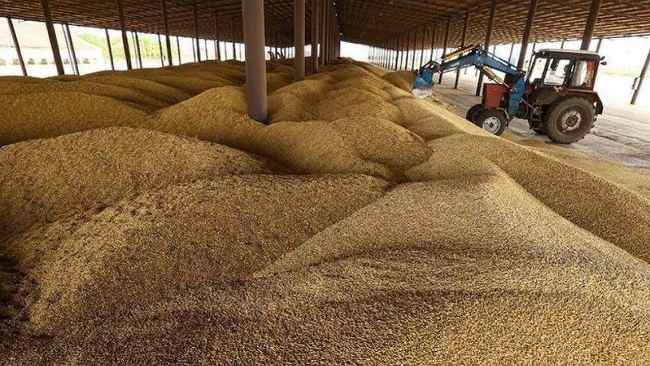 Mare companie de cereale acuzată de țepe date fermierilor botoșăneni  