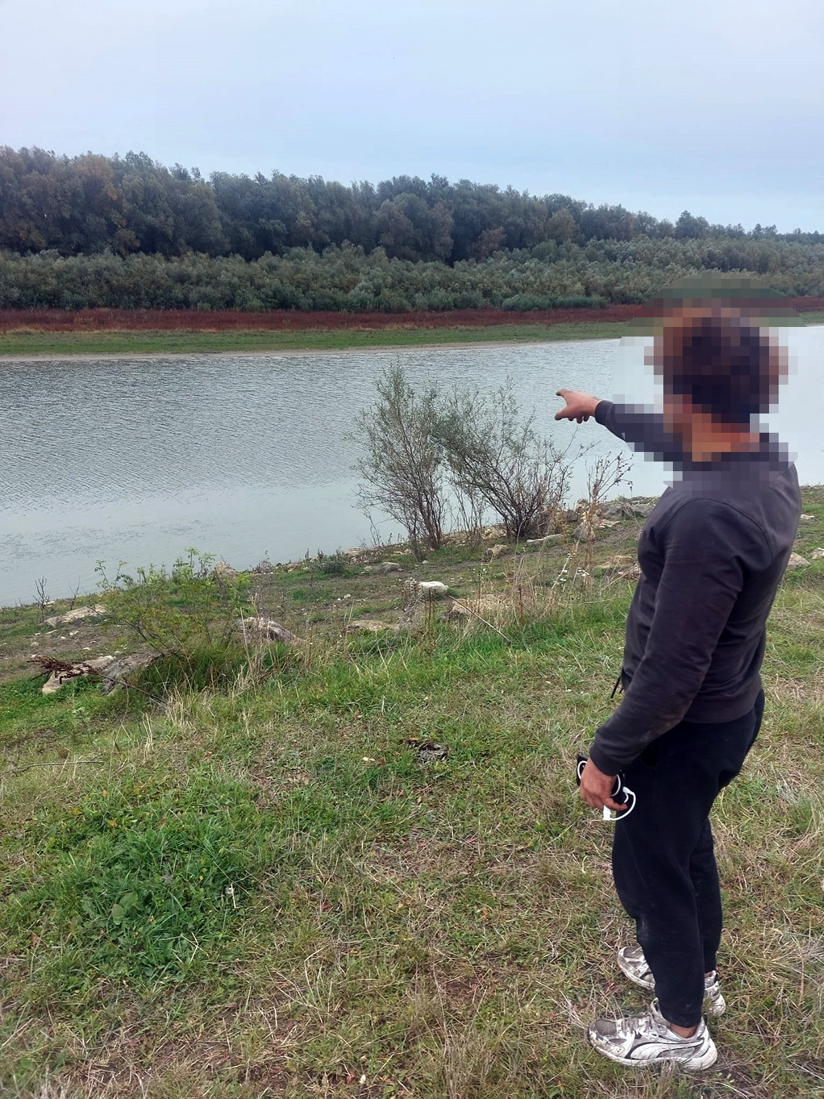 cetatean dezoerientat gasit peste prut.