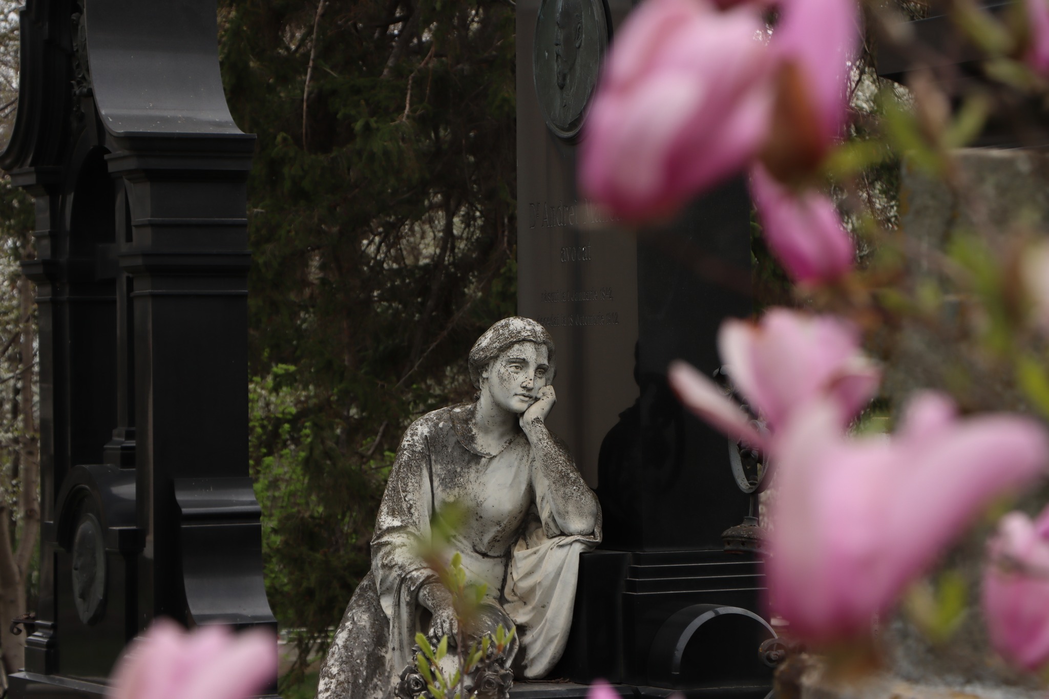 cimitirul armenesc botosani