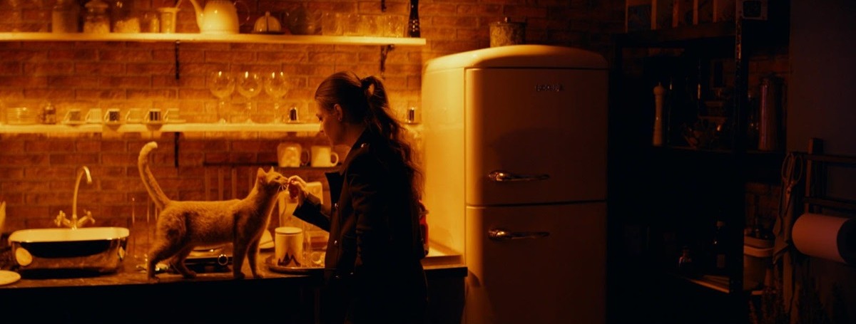 Avanpremiere electrizante și un program plin de filme te așteaptă la cinema în săptămâna 11–17 iulie la Happy Cinema 