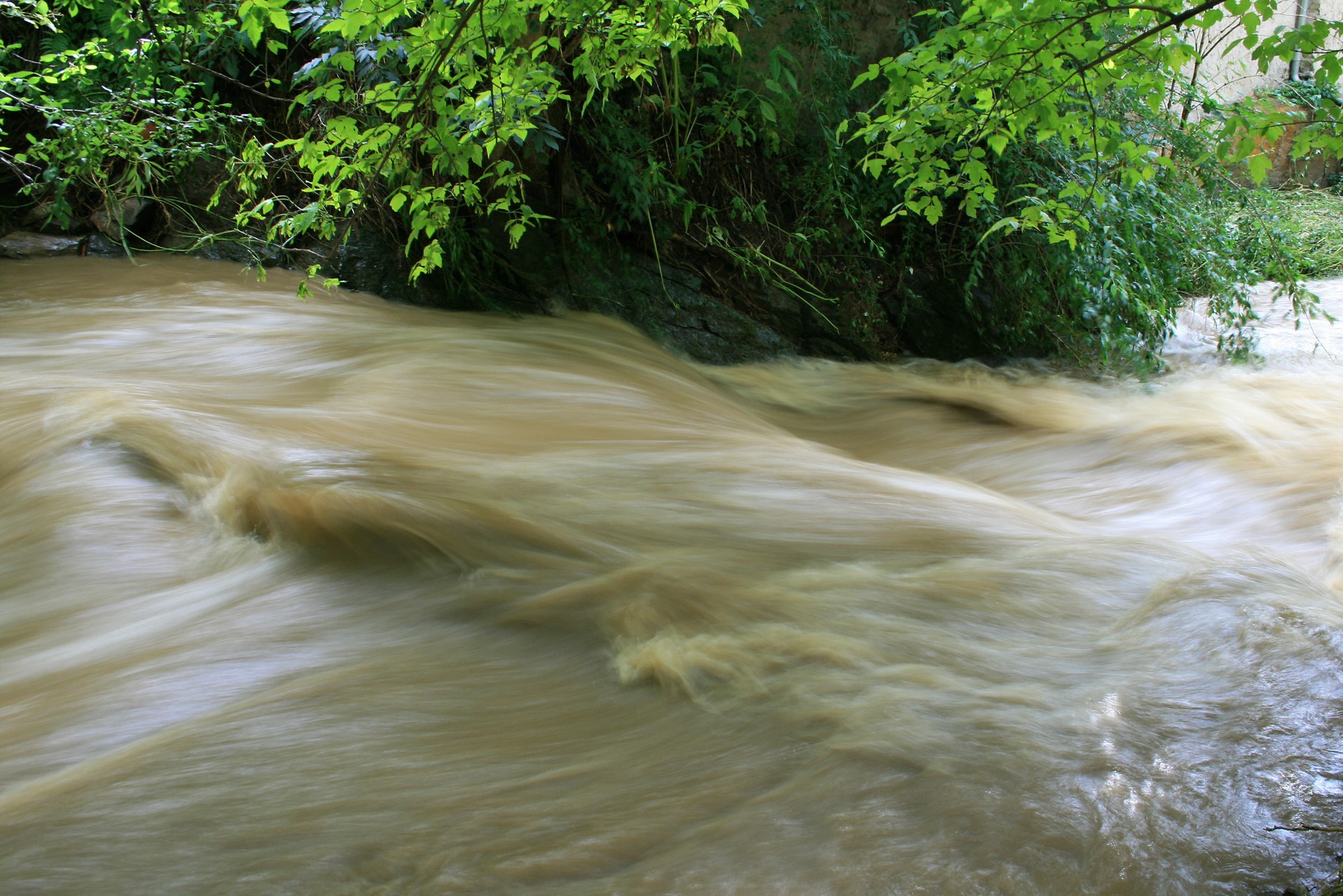 cod galben de inundatii.
