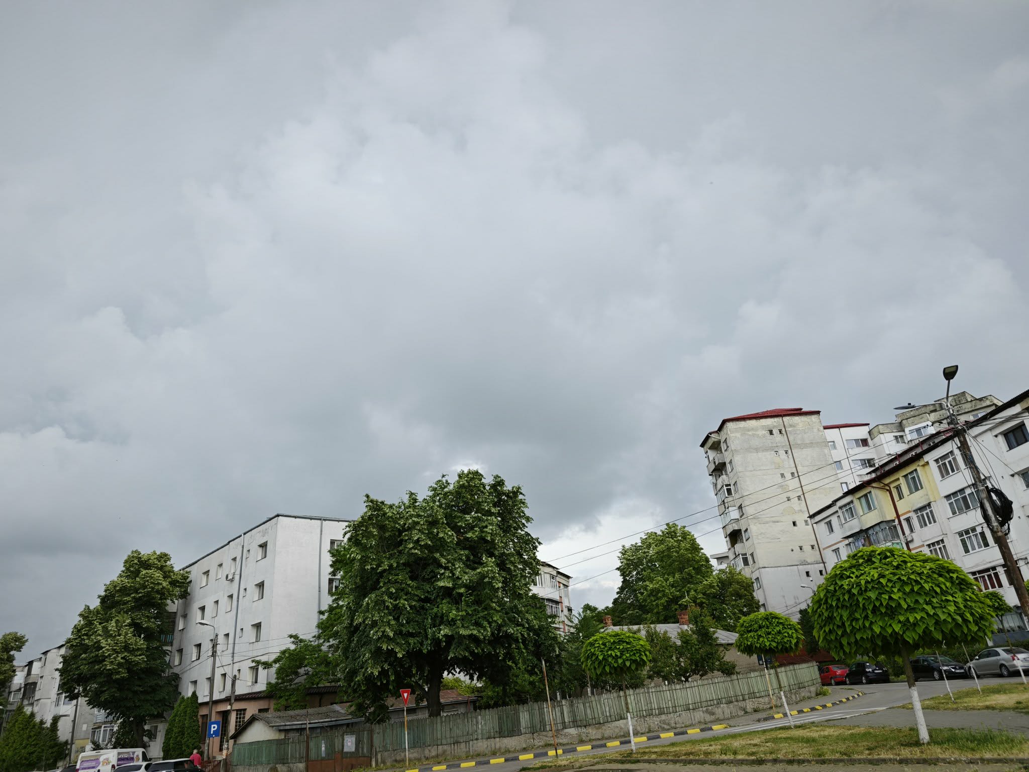 cod galben de ploi abundente la botosani