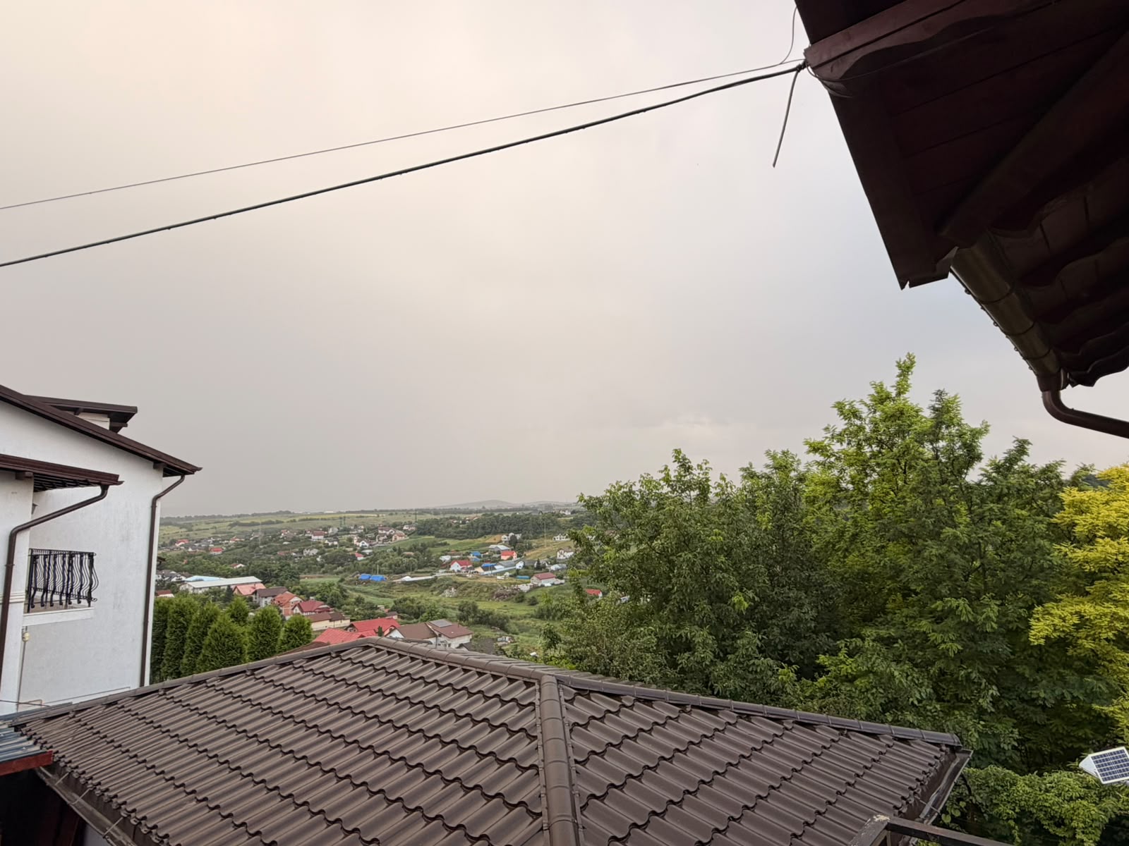 cod galben la botosani