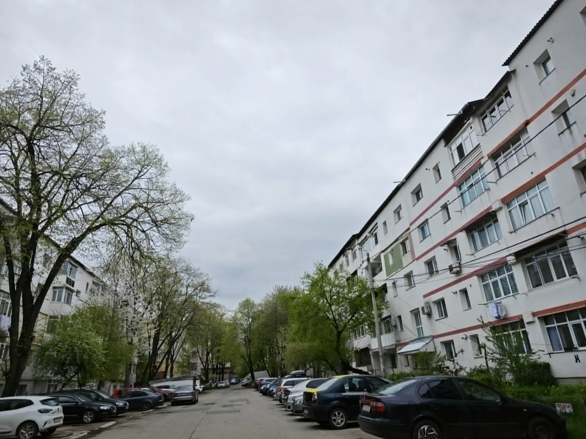 cod galben la botosani