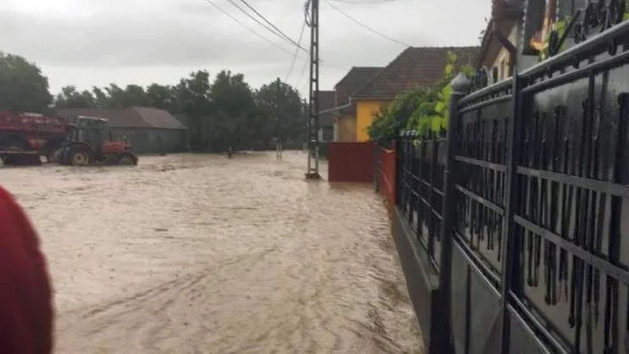 cod galben la inundatii