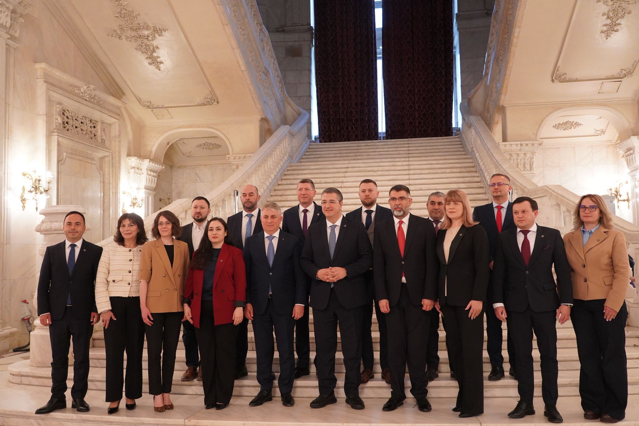 Comunicat Cătălin Silegeanu statut strategic