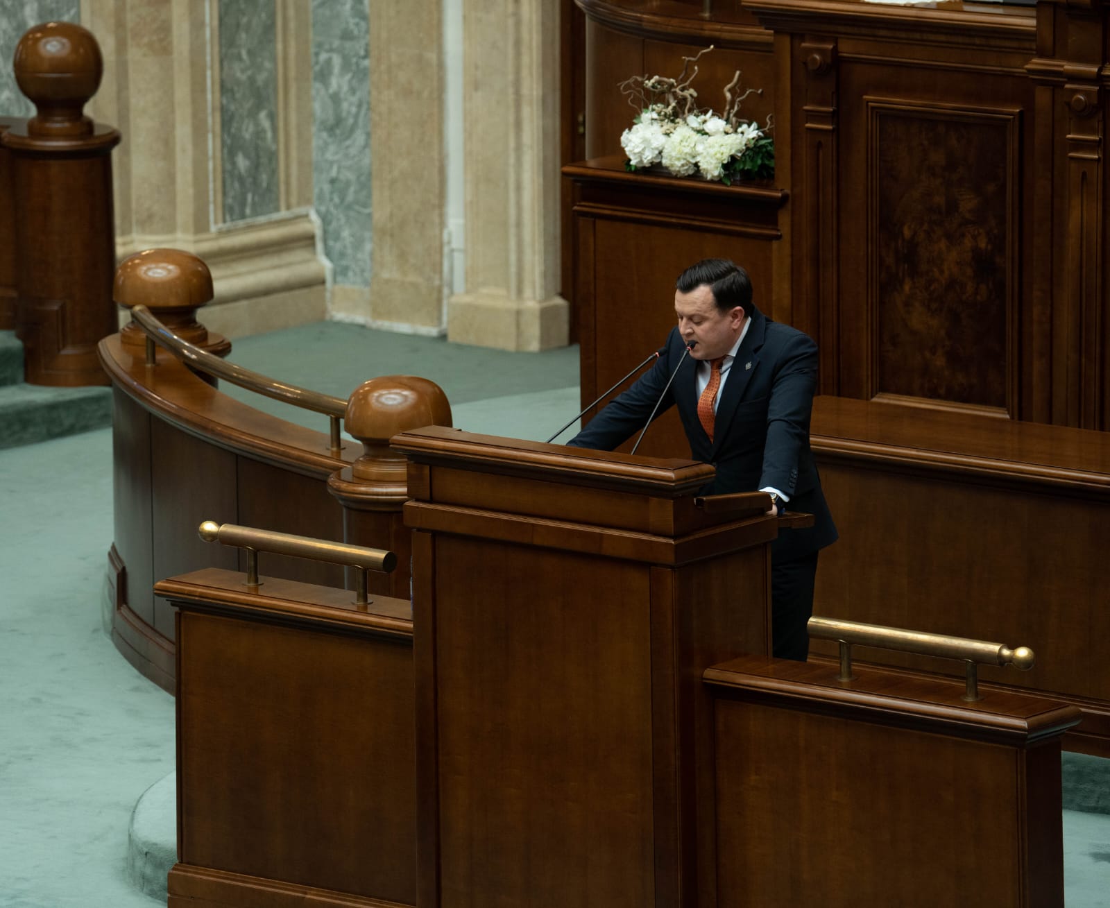 comunicat Catalin Silegeanu.j