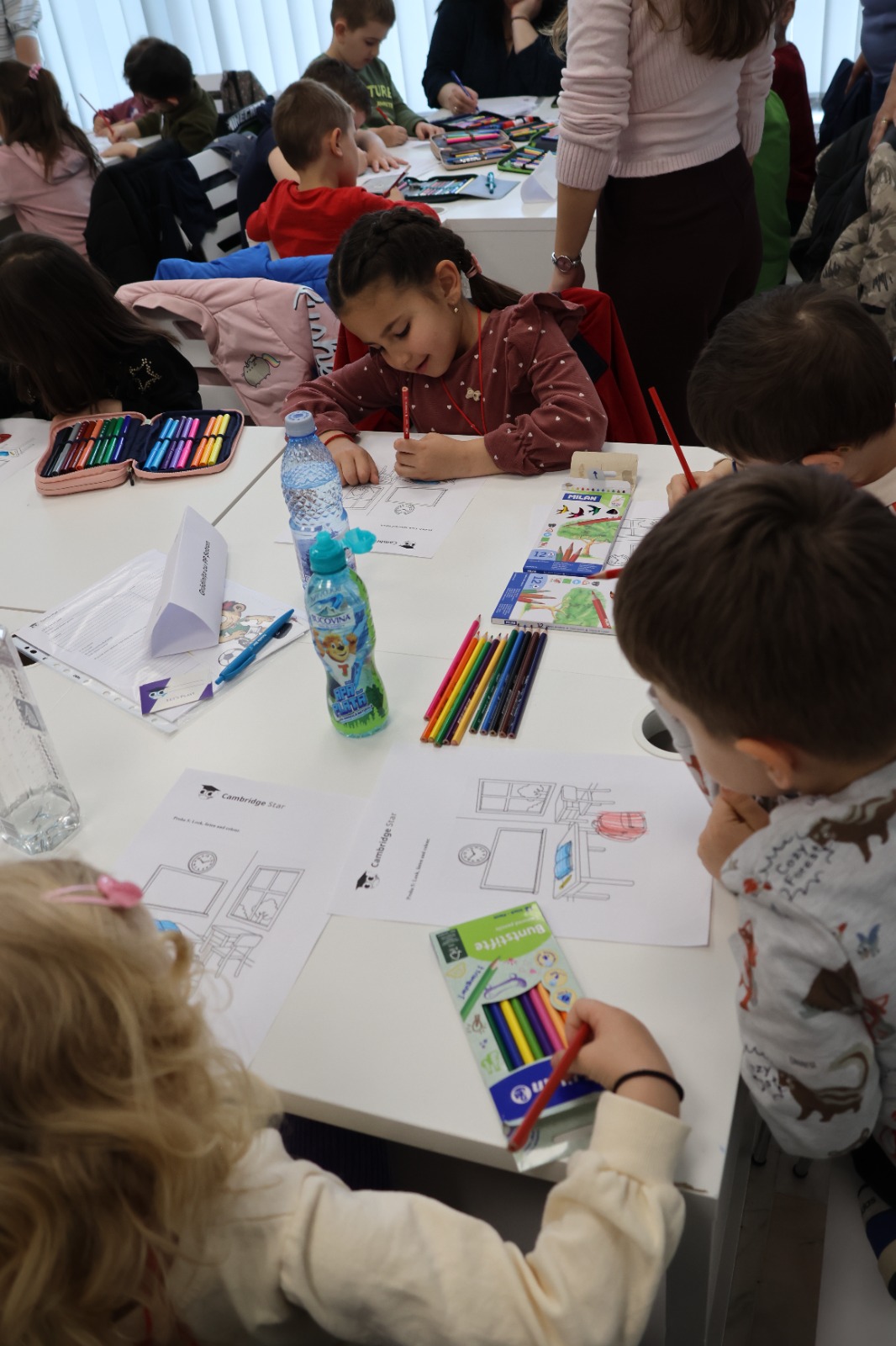 concurs pentru elevii din botosani la engleza(5