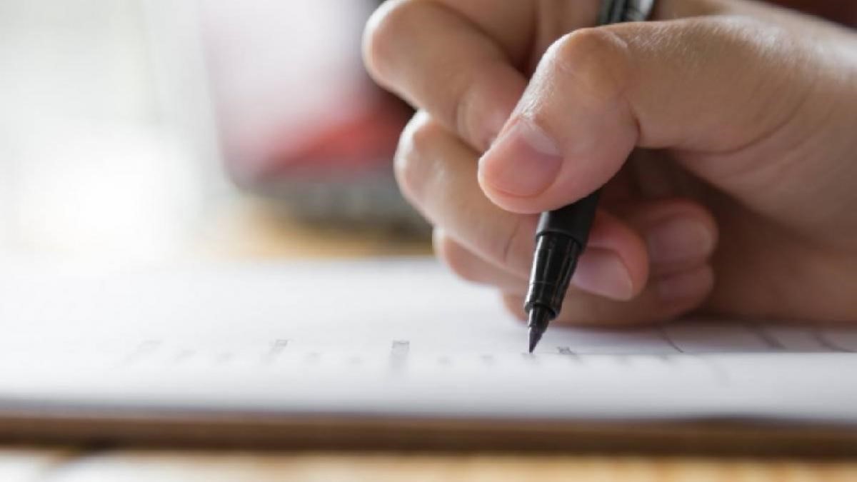 Post de șef scos la concurs într-o primărie: NU se cer studii superioare