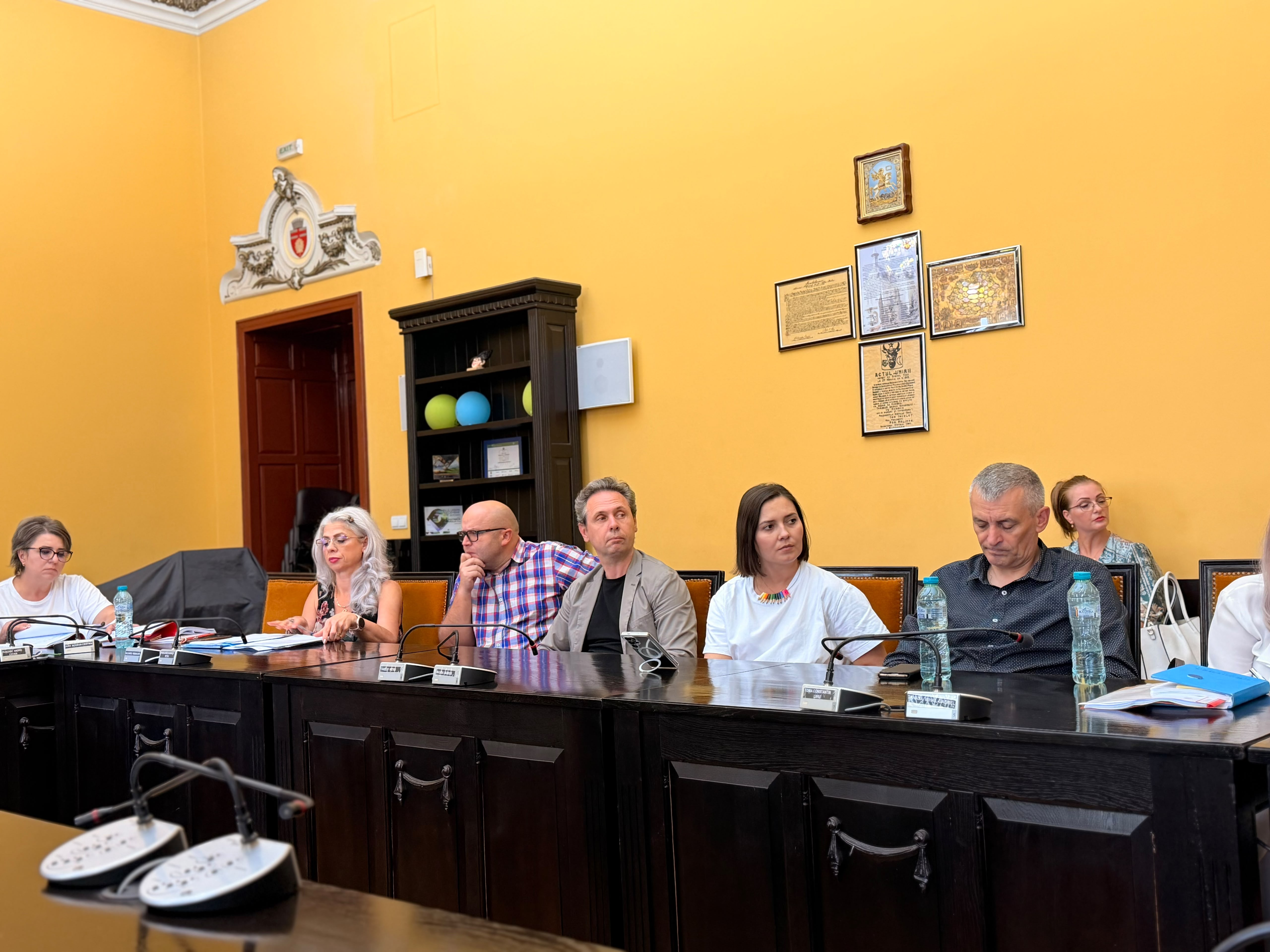 consultare publica pietonal si cinema unirea