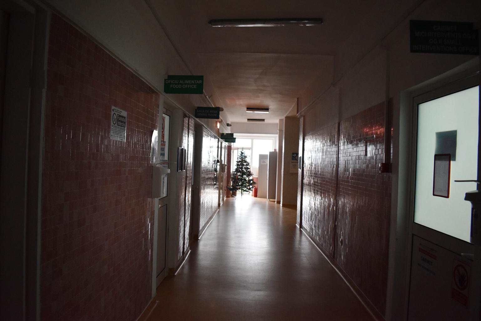 S-a întâmplat la Botoșani: Director ”convins” să demisioneze cu controale trimise de Crăciun și Revelion - Eram eu, nici secretara nu mai era, plecase – VIDEO 