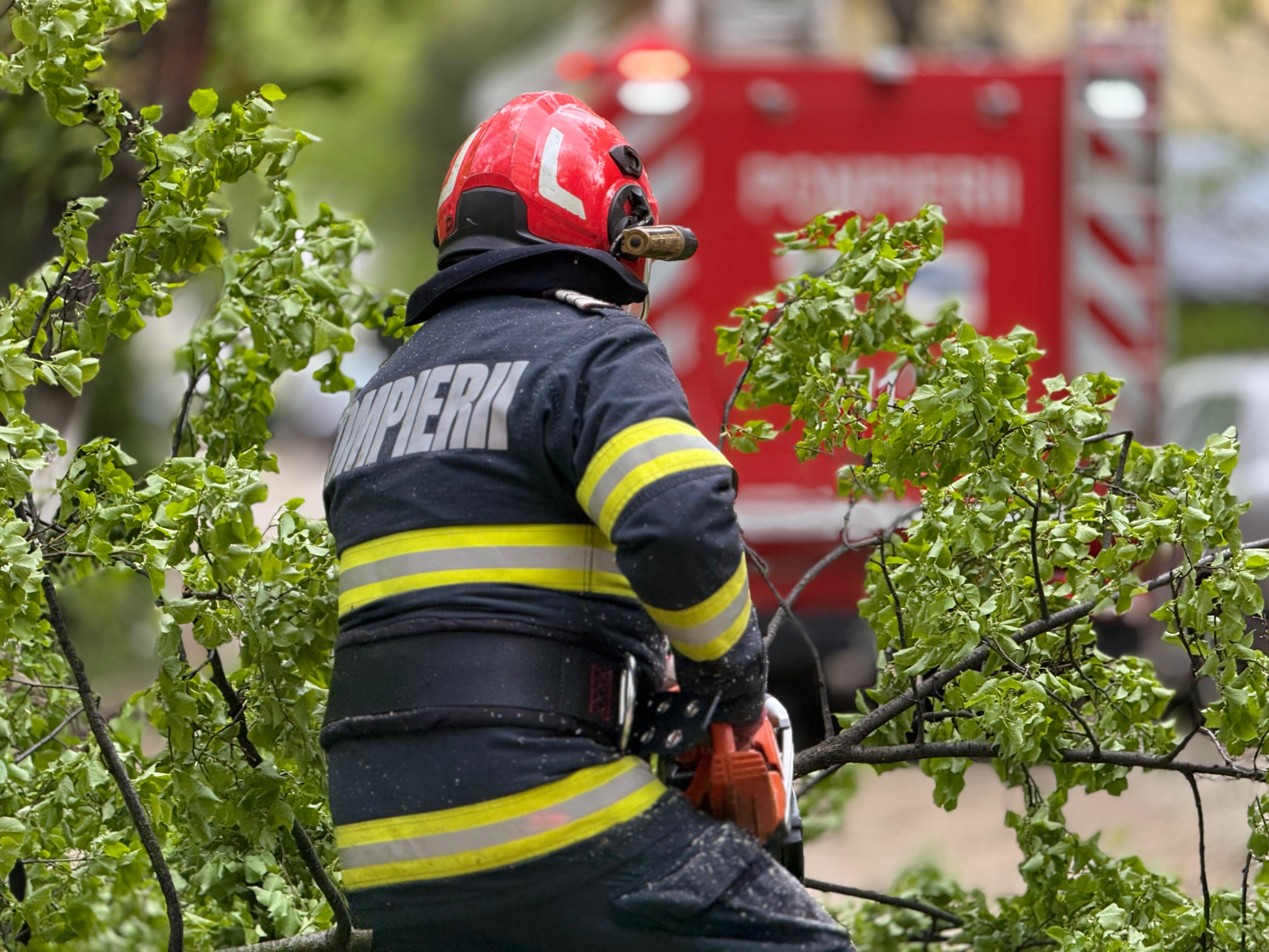 Vijelie la Botoșani: Copaci căzuți, bucăți de tencuială  peste mașini - VIDEO