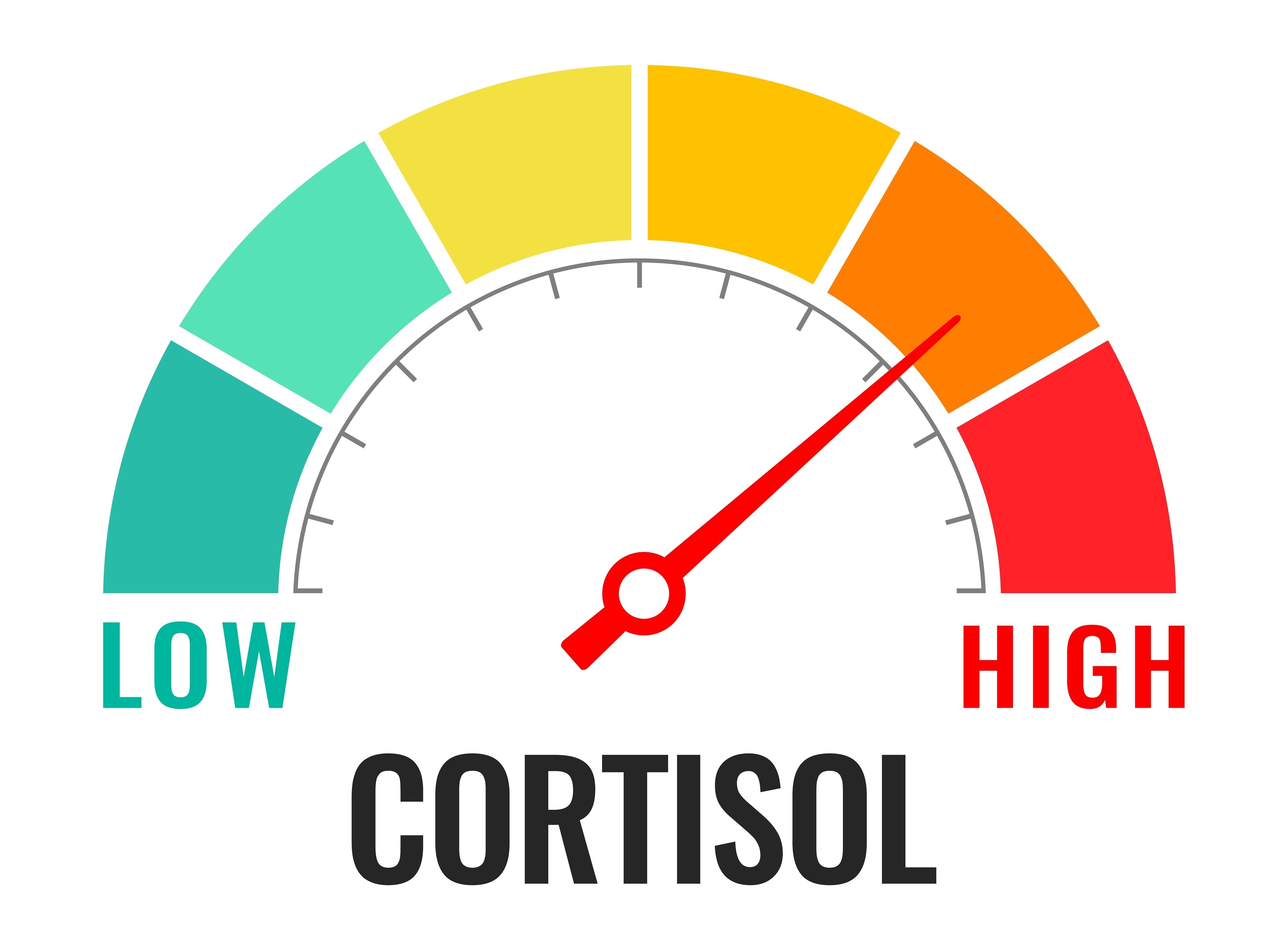 Alimente periculoase! Cum îți dereglează nivelul de stres