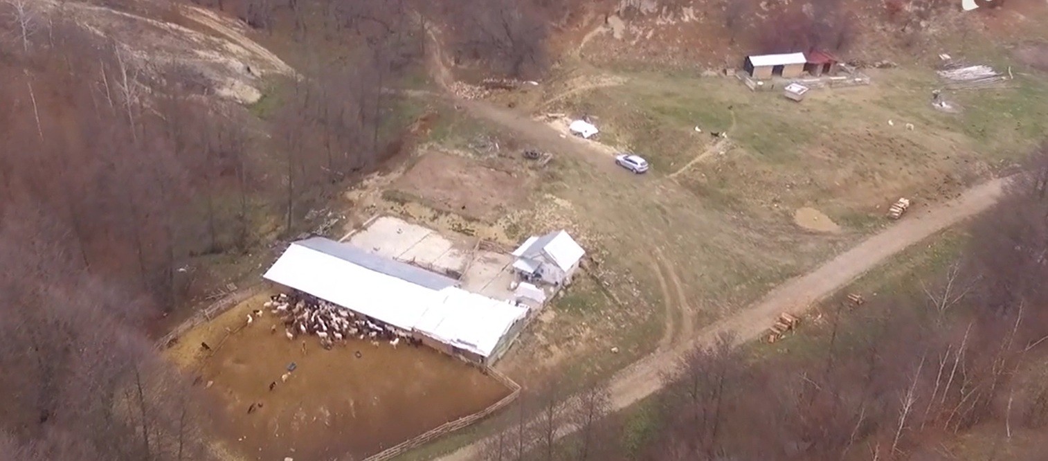 Crima de la fermă: Adolescentul de 17 ani a fost arestat preventiv 