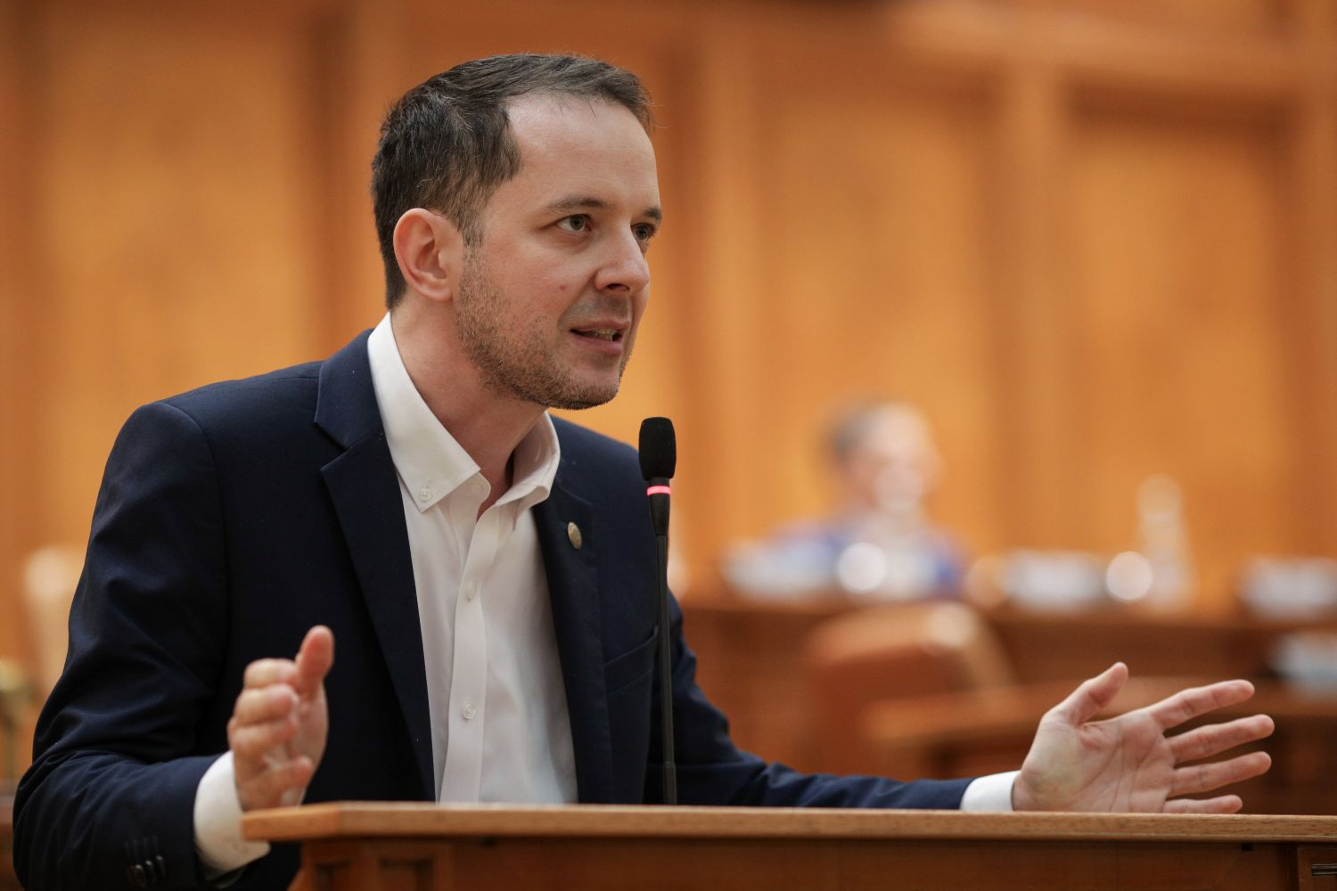 USR, replică dură pentru PSD: „Să participe la ședințe, nu să le boicoteze”