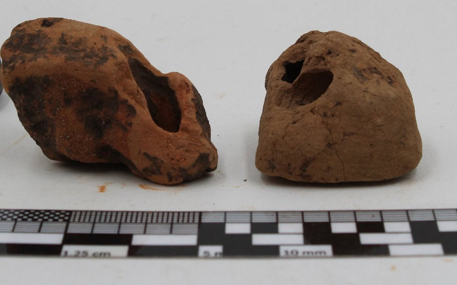 Descoperire unică la Stăuceni: cuiburi de viespi vechi de 6.000 de ani găsite 