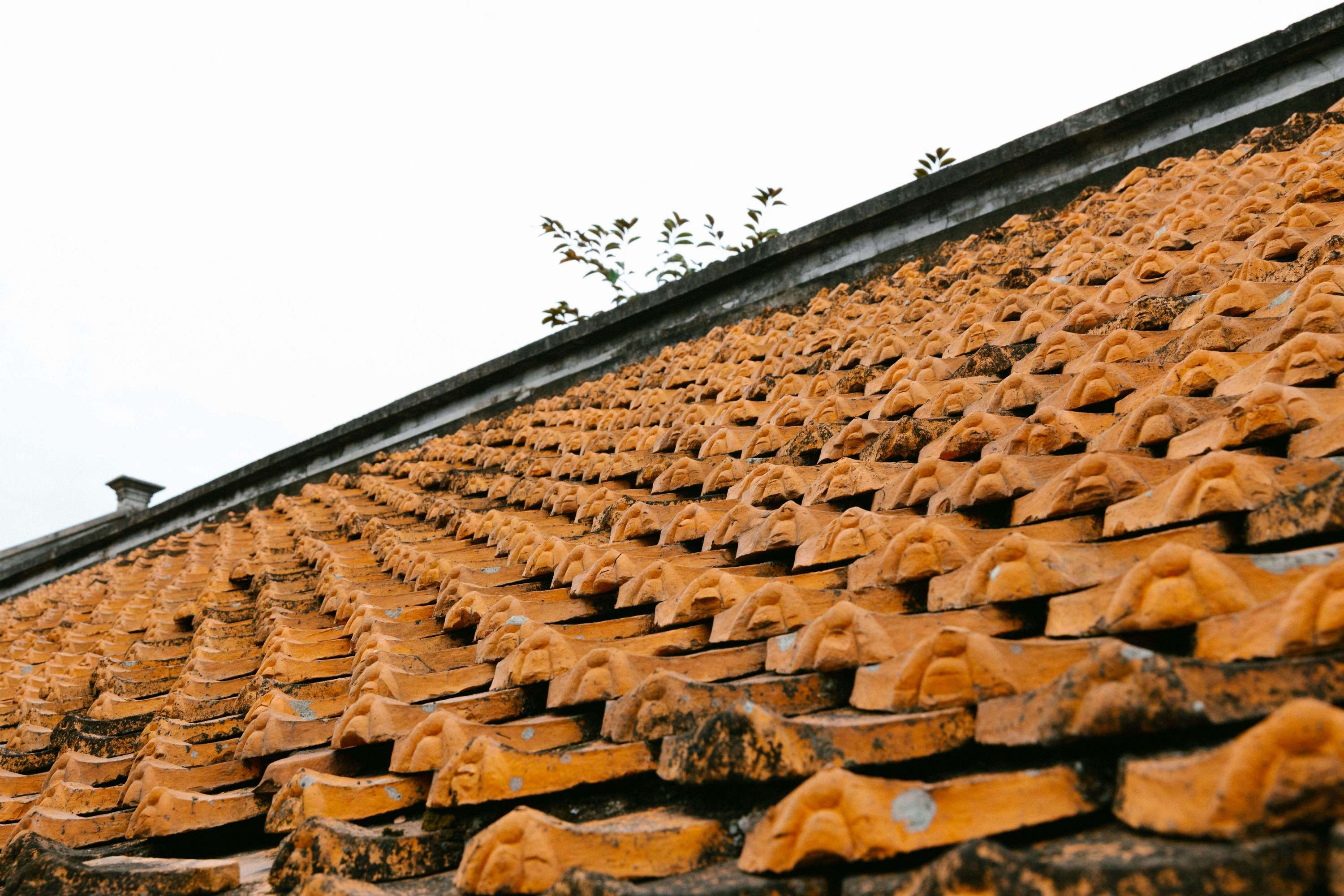 Cum sa alegi tabla potrivita pentru acoperisul casei tale