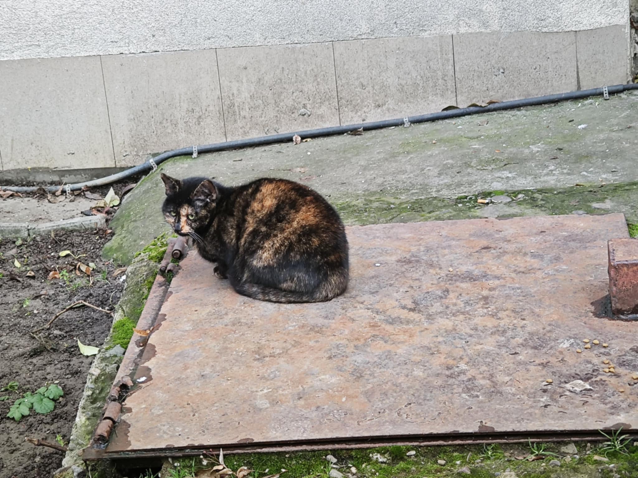 Poza zilei 2 ianuarie 2025 