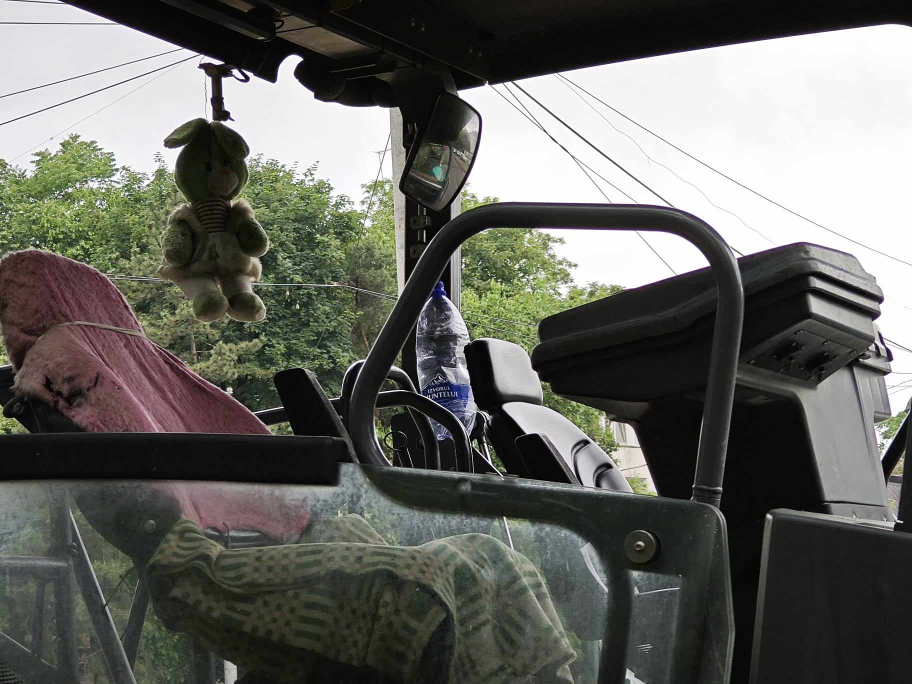 Poza zilei 6 iunie 2024