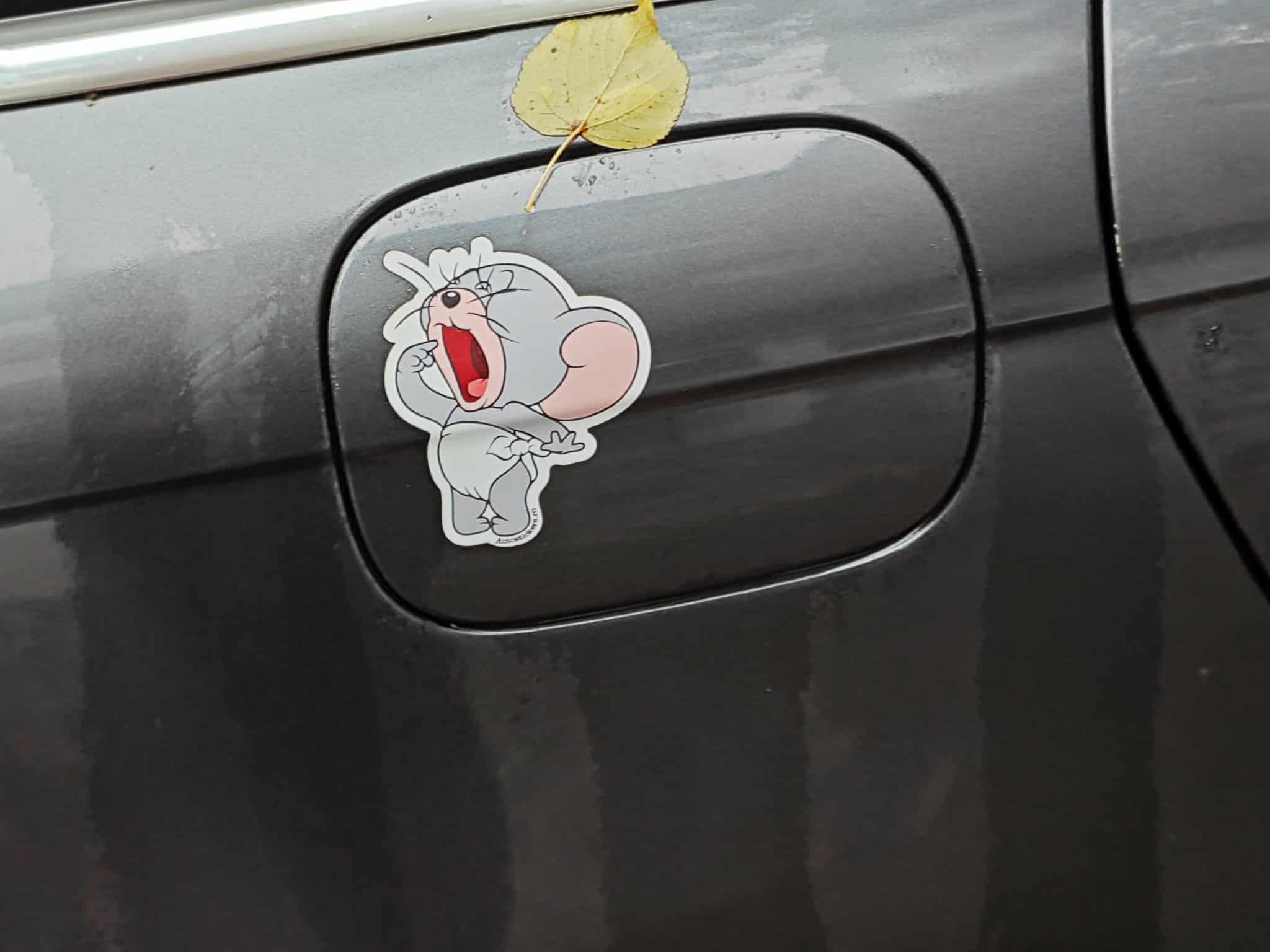 Poza zilei 8 octombrie 2025 