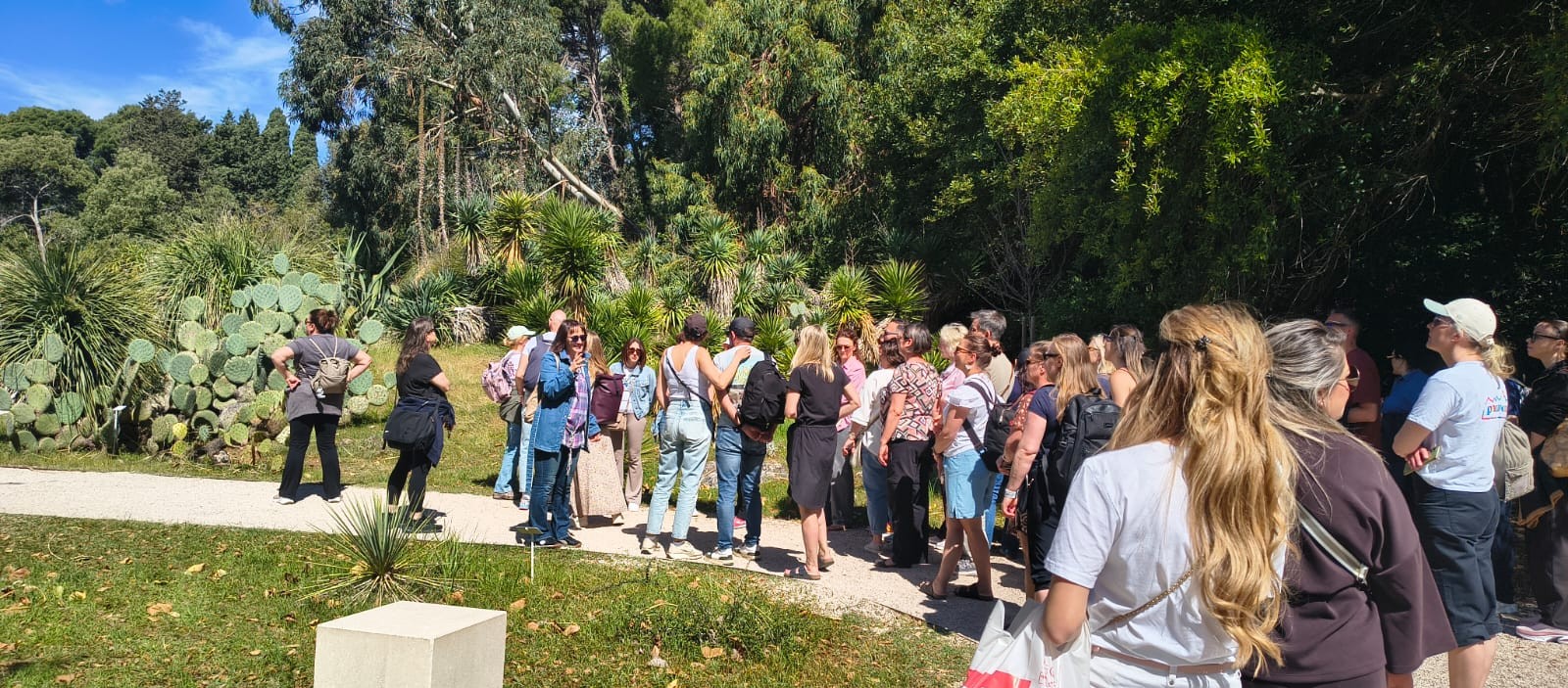 profesori de la scoala 11 in croatia