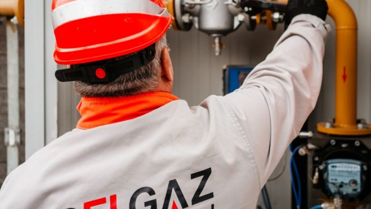 delgaz grid