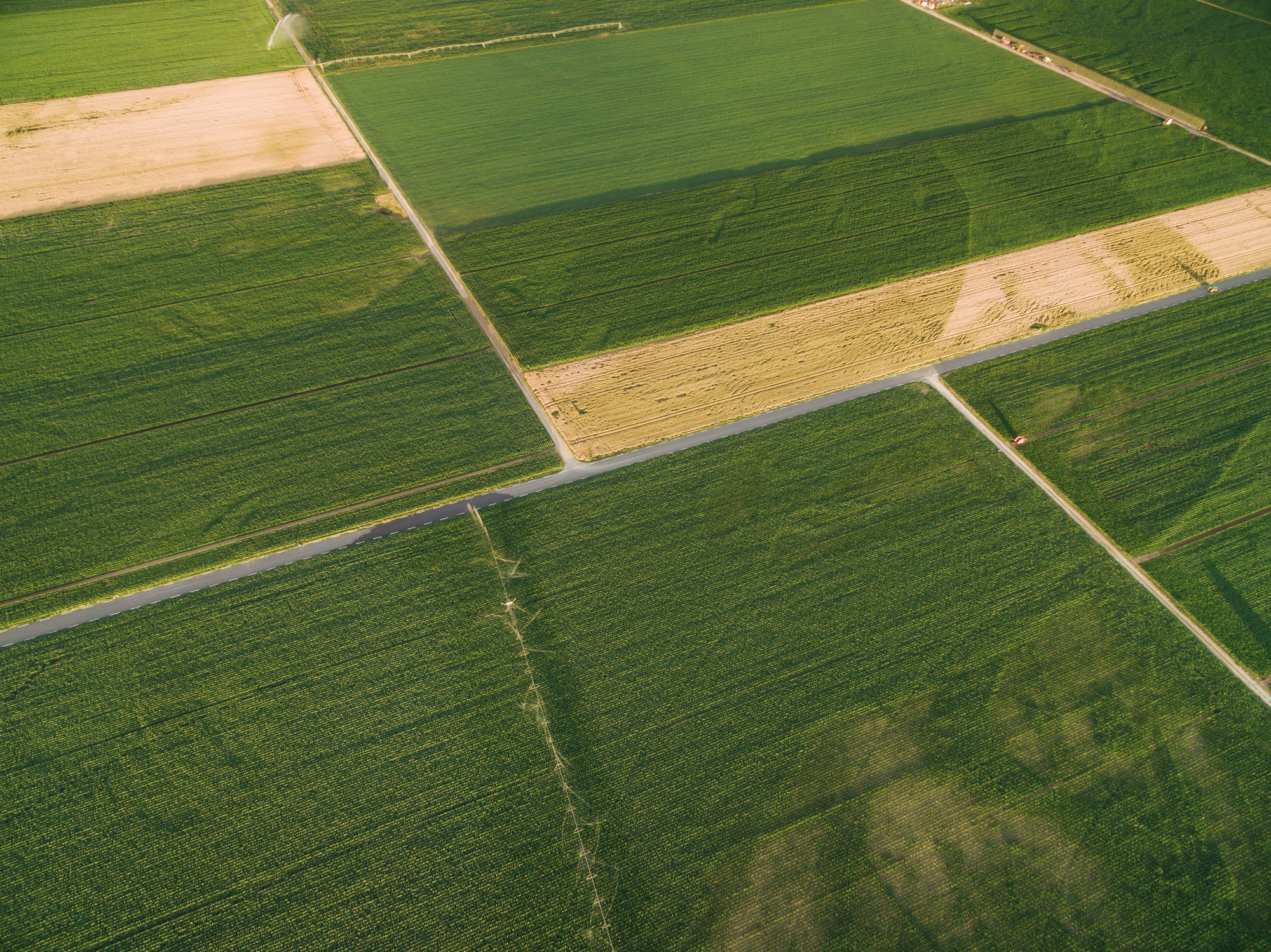 Botoșani, în topul județelor cu cele mai multe terenuri agricole vândute în luna mai