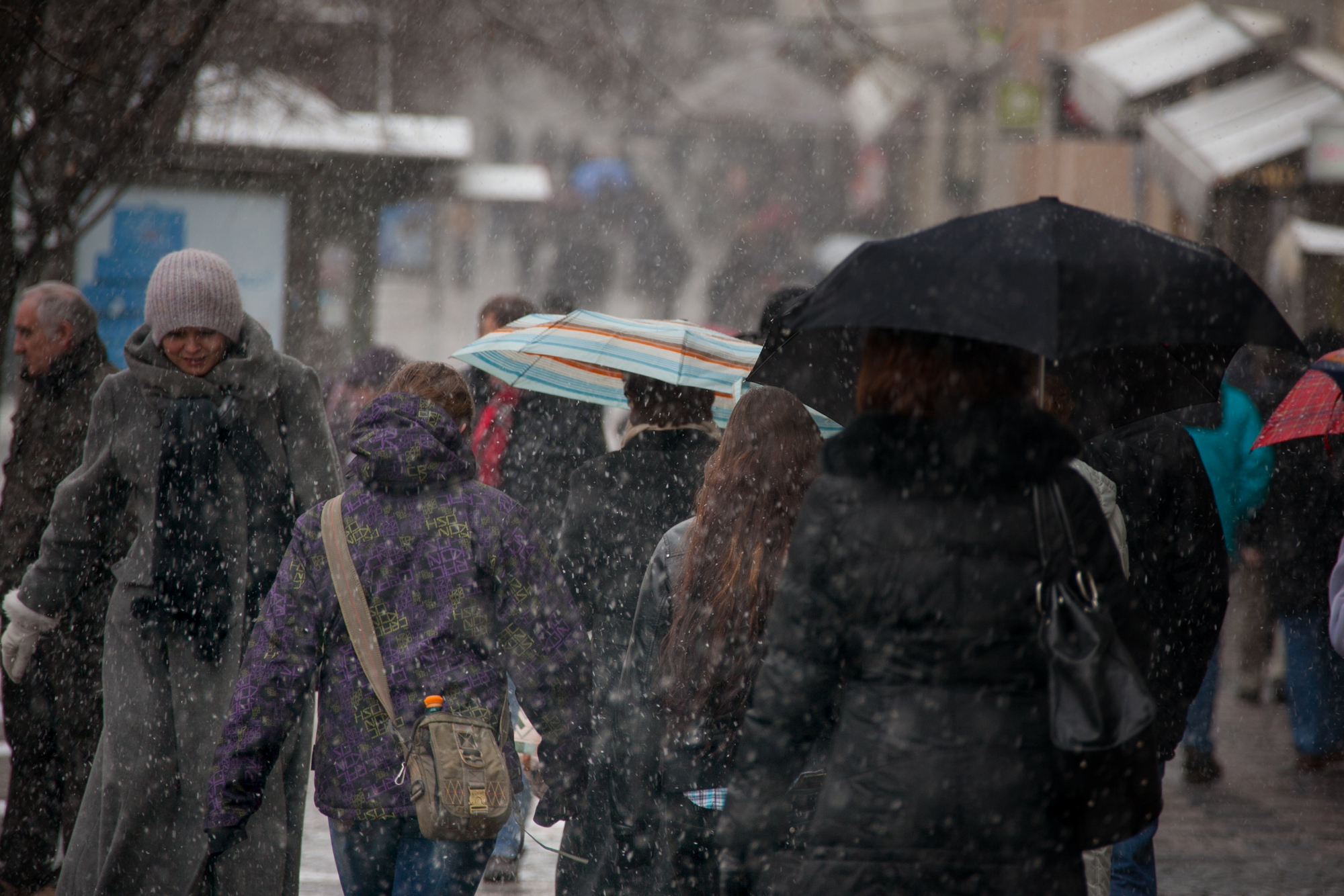 Informare meteo: Vânt, ninsori și lapoviță anunțate până JOI