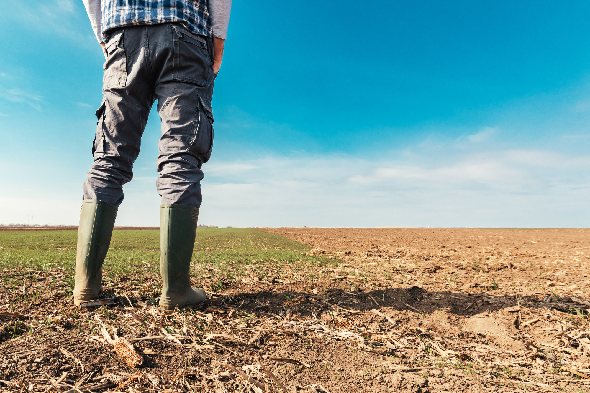 APIA, anunț important pentru fermierii din Botoșani