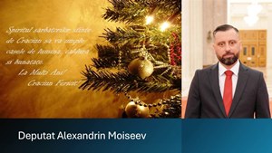 Felicitare Moiseev