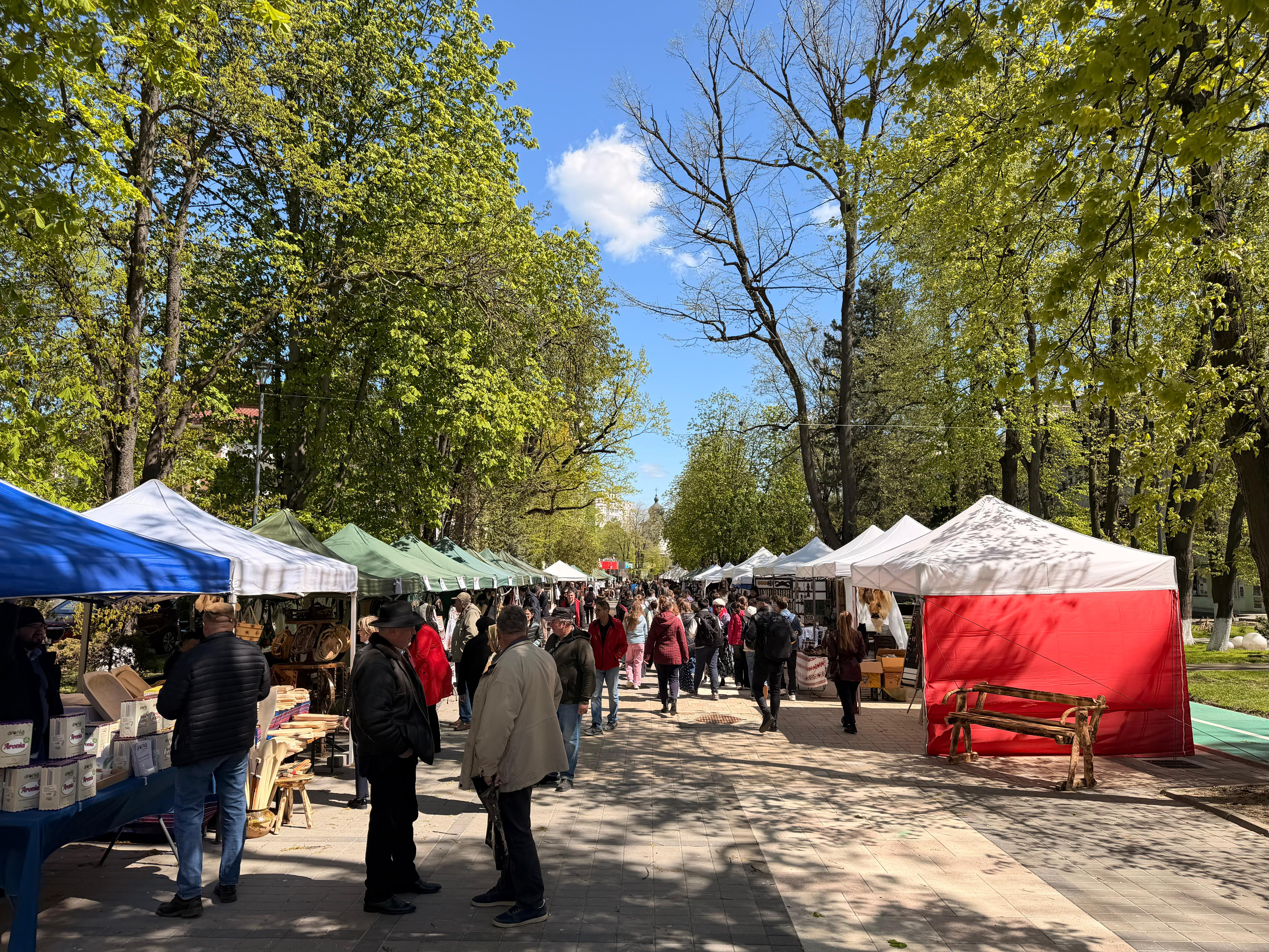 deschiderea targului mestesugarilor