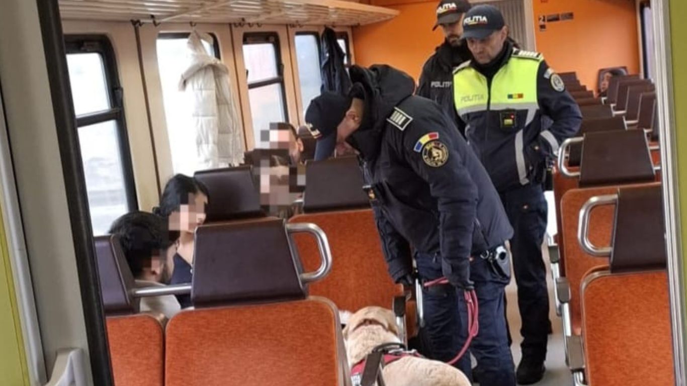 Polițiștii din Botoșani au urcat cu câinii în trenul Dorohoi - Iași, peste 100 de persoane și-au scos actele 