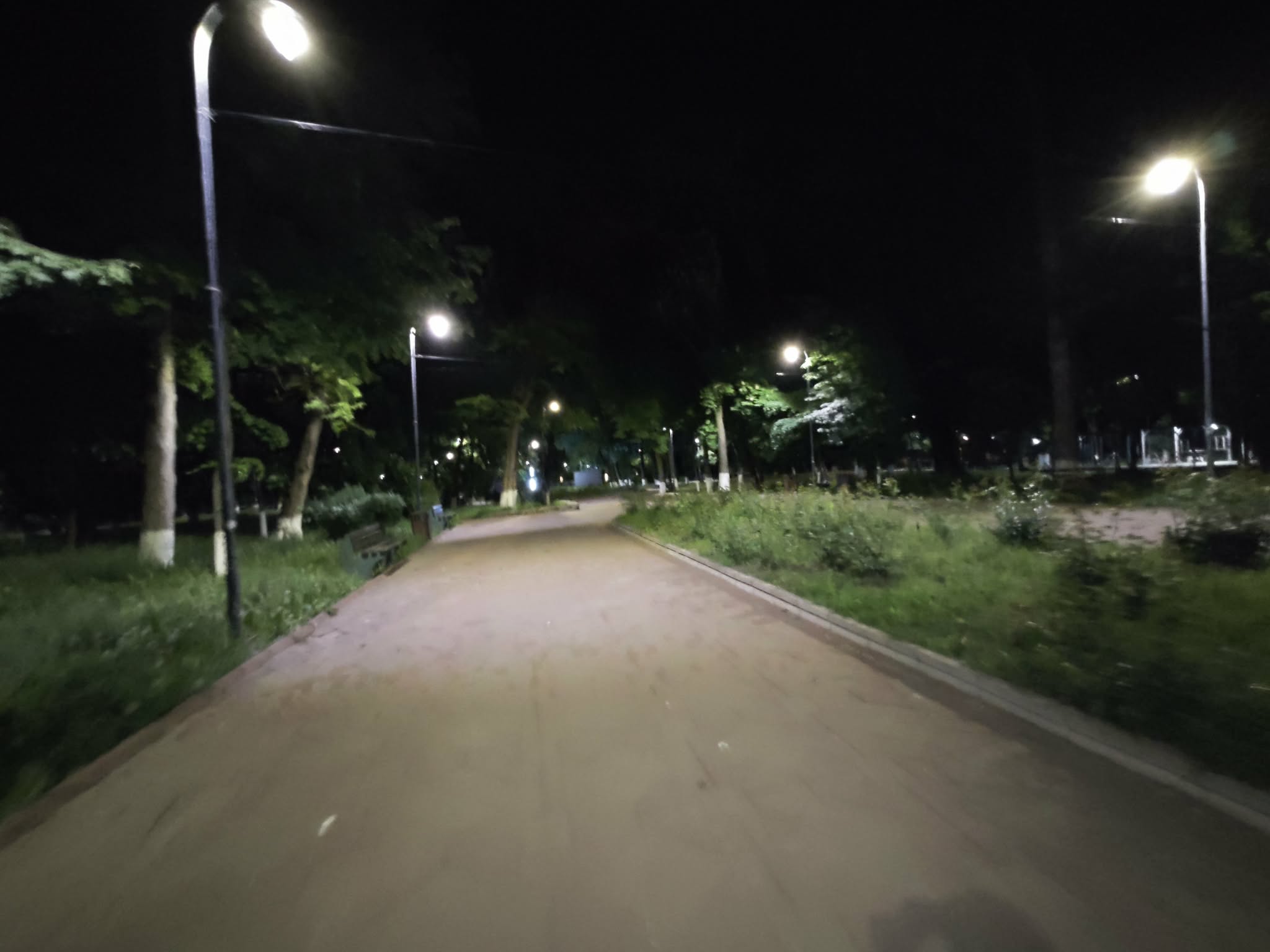 dezinfectie parc