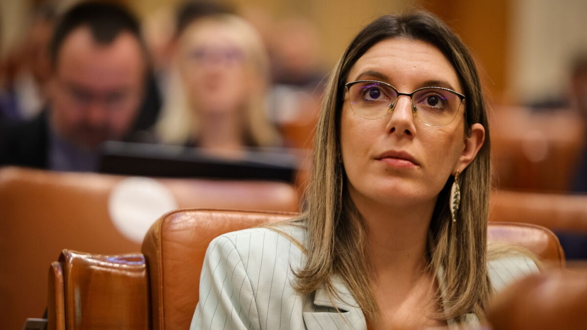 Acordurile de mediu, mai rapide: Anunțul ministrului Diana Buzoianu 