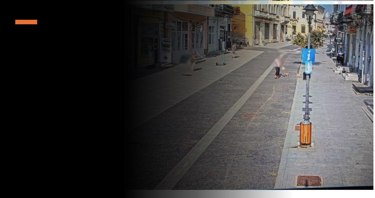 Botoșănean amendat de polițiști din cauza a doi căței