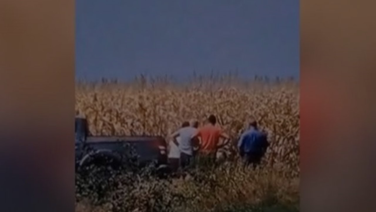 Fermier bătut de vice pe câmp, chiar în fața unui primar din Botoșani: El era pregătit de bătaie