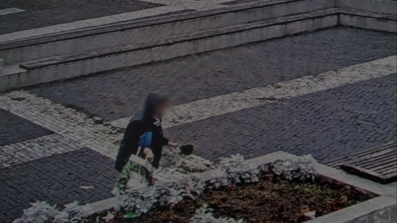 Flori rupte din aranjamentele stradale, o doamnă prinsă în timp ce își umplea sacoșa  