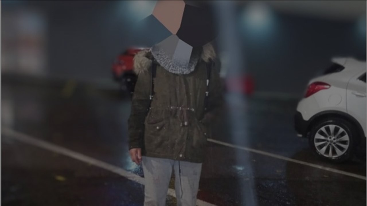 Femeie prinsă de polițiști în timp ce dirija traficul în intersecție 