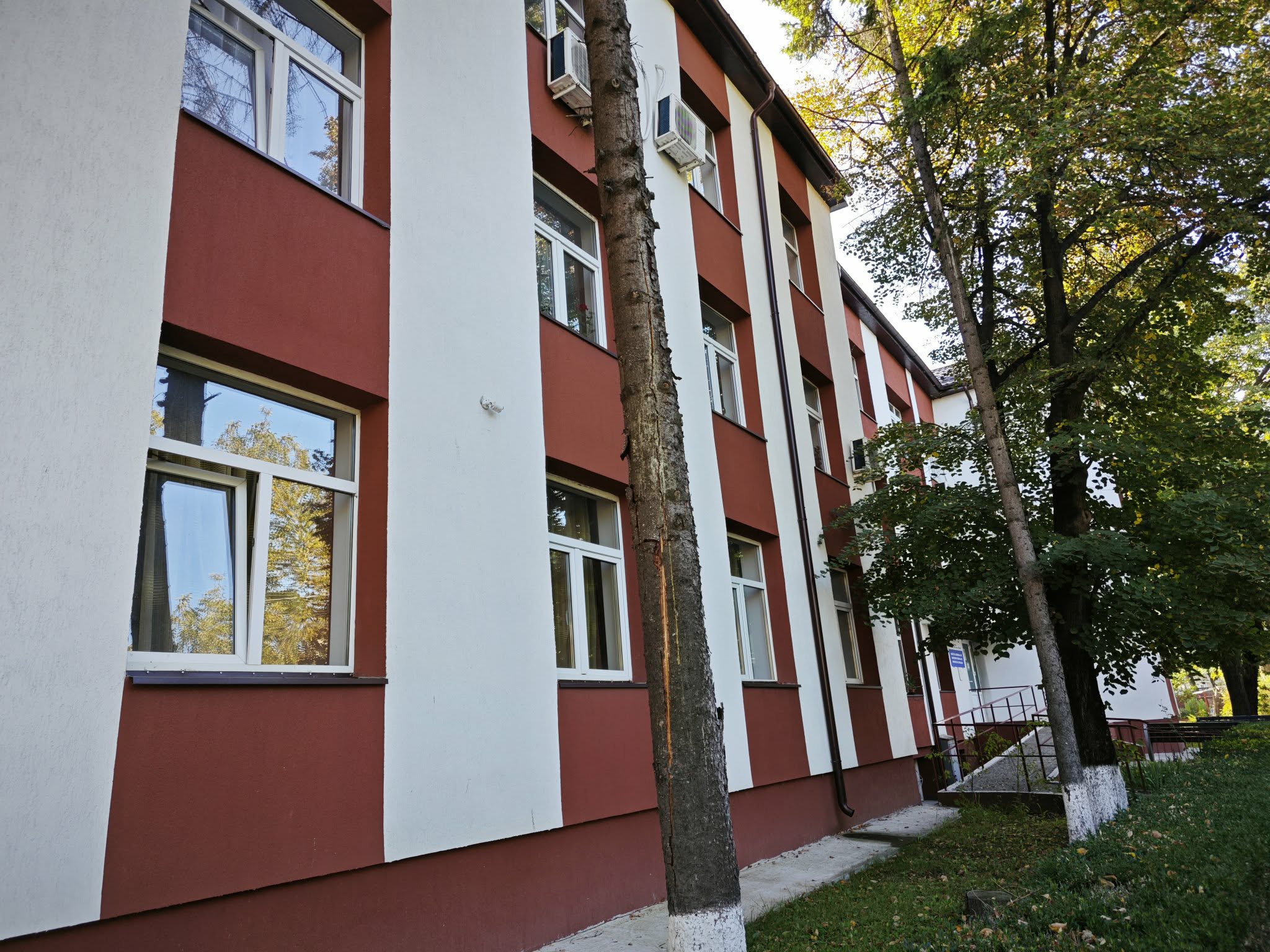 directia copilului botosani